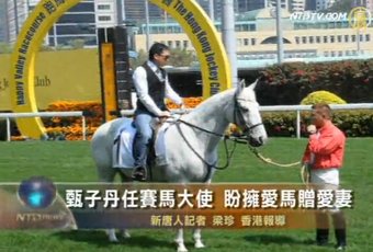 甄子丹任賽馬大使 盼擁愛馬贈愛妻