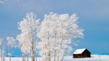 【文化漫步】古代文人對「雪」的別稱