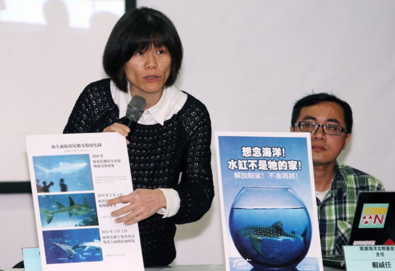 野放鯨鯊  海生館盼一進一出