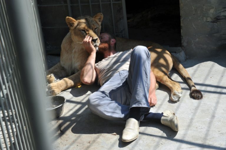 烏克蘭版少年Pi 男將與獅同居1年