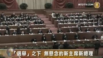 「選舉」之下  沒有懸念的新主席新總理