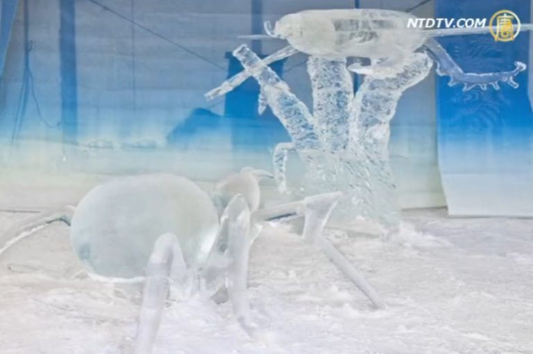 冰雕雪姿塑楓國 多元文化展風采