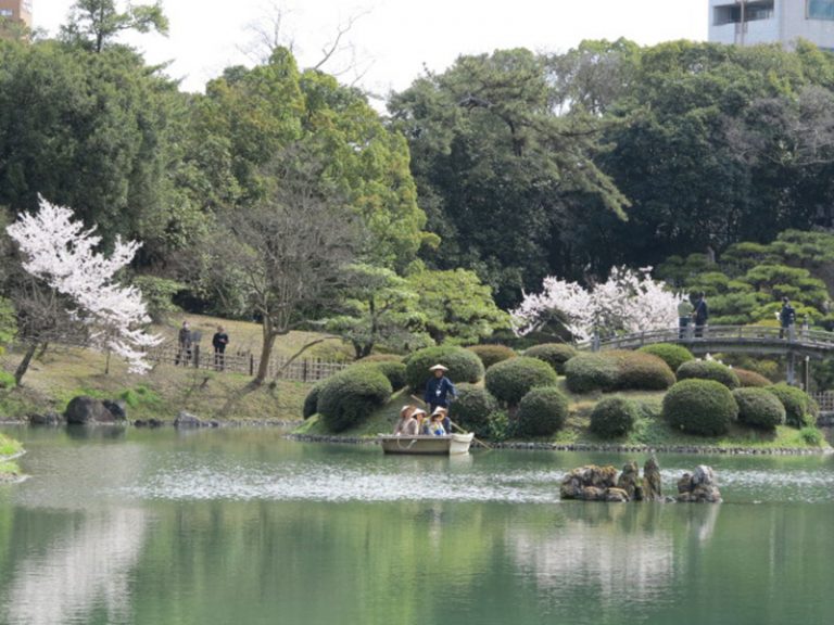 日栗林公園春遊  江丙坤賞櫻