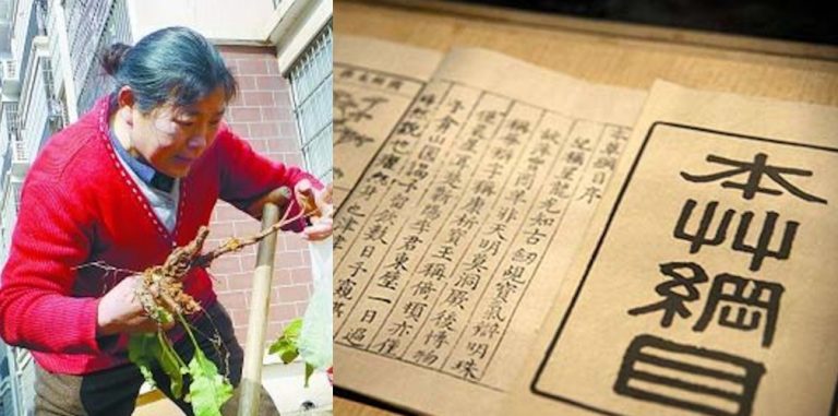母四處求醫無效 自學《本草綱目》救子