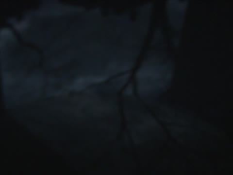 巨大暗箱豎立  紐約人體驗最早照相原理