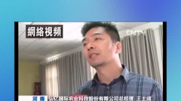 农民抗强占被碾死 施暴者笑谈醉酒