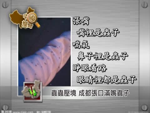 【中國搜奇】蟲蟲壓境 四川成都張口滿嘴蟲子