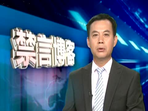 【禁言博客】央視315晚會應改為“315黑社會”