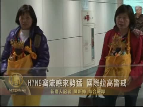 上海又一疑似H7N9死亡病例 國際警惕