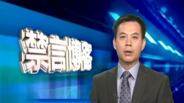 【禁言博客】司長比真官員更靠譜