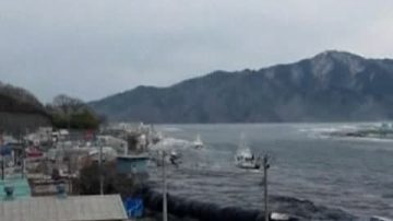 漂流两年  活鱼随日本船只抵美海岸