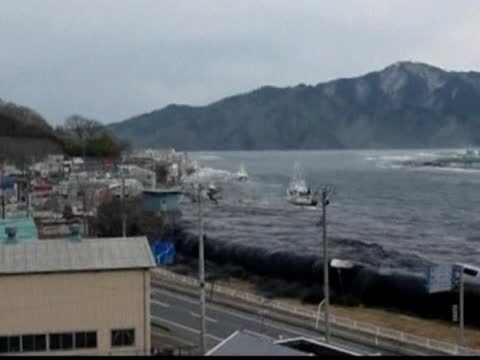 漂流兩年  活魚隨日本船隻抵美海岸