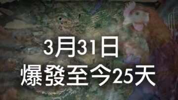 日報改週報？中共疫情發佈隱憂