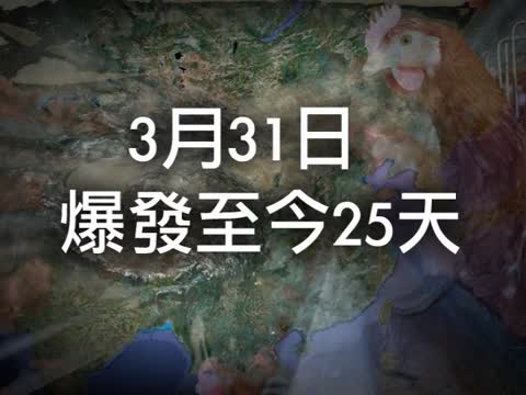 日報改週報？中共疫情發佈隱憂