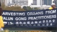 墨爾本法輪功紀念4.25 征簽反迫害