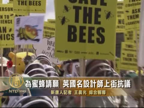 為蜜蜂請願 英國名設計師上街抗議