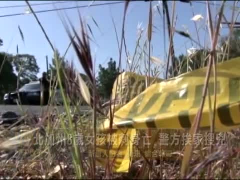 北加州8歲女孩被刺身亡 警方挨家搜兇