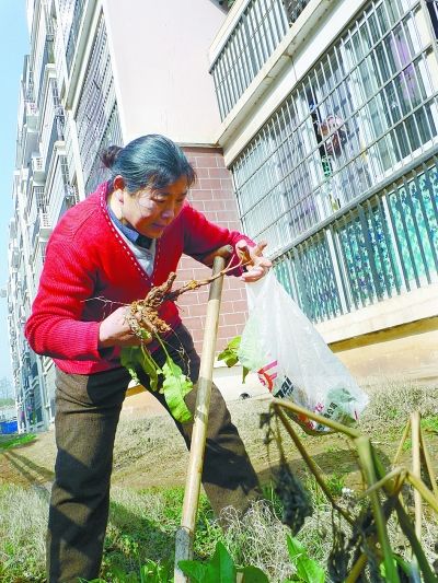 母四處求醫無效 自學《本草綱目》救子