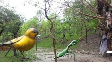 大型抹香鲸 纸风车造陆上海洋