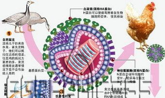 中共防民甚于防疫　习李难免重蹈覆辙