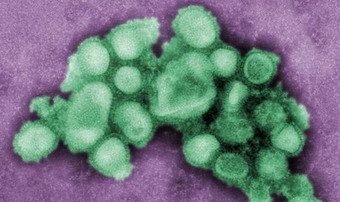 H7N9添两例 湖南现可人传人的H1N1