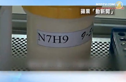 港記實地勘察 內地防疫系統混亂