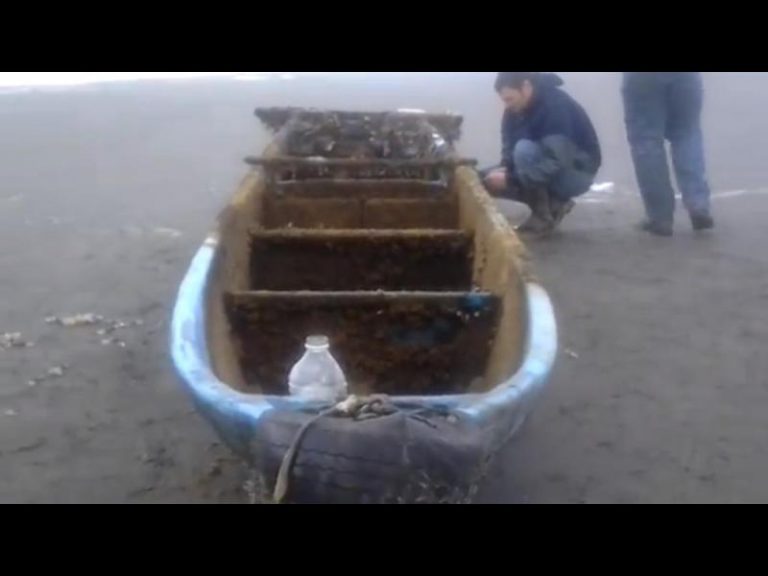 漂流2年 日海嘯船骸載魚抵美