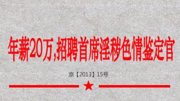 中共招聘「首席淫穢色情鑒定官」遭吐槽