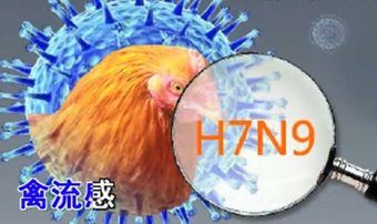 大陆H7N9蔓延多省 61染病13死