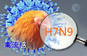 大陸H7N9蔓延多省 61染病13死