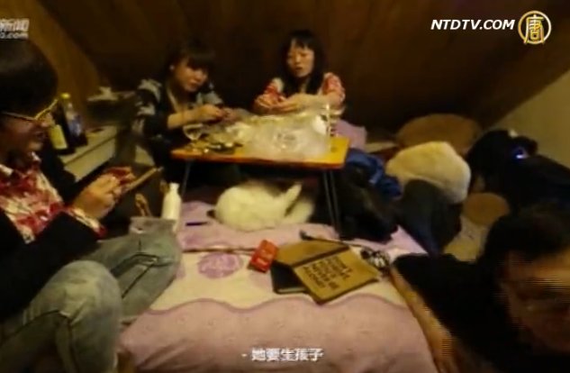 【中國搜奇】一房隔二十四屋 北漂的蝸居之樂