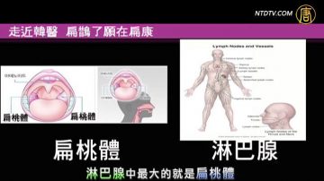 【走近韩医】（8）健康百岁的秘密