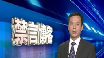 【禁言博客】中國官員：最傑出的語言大師