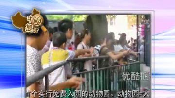 【中国搜奇】北京动物园游客挤 比动物出逃更难