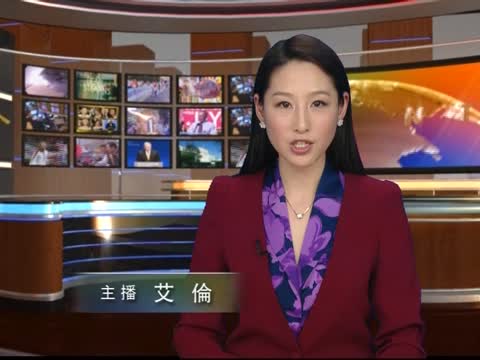 NRA副主席：槍管是一場文化戰爭