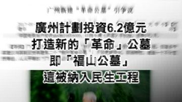 【禁闻】新闻引发民愤 捐款活埋贪官