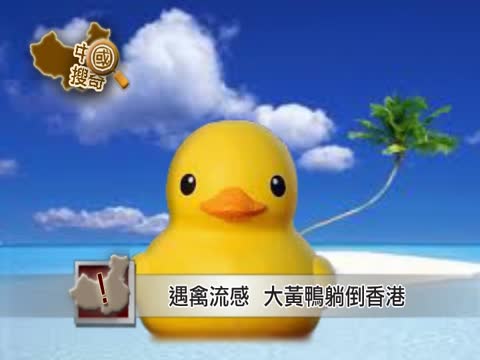 【中國搜奇】大黃鴨變「片皮鴨」 網友語不驚人死不休