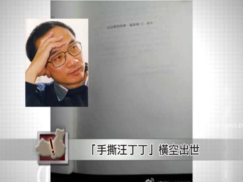 【中國搜奇】「手撕汪丁丁」橫空出世