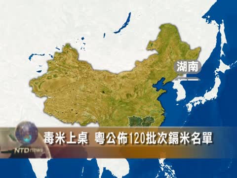 毒米上桌 粵公布120批次鎘米名單