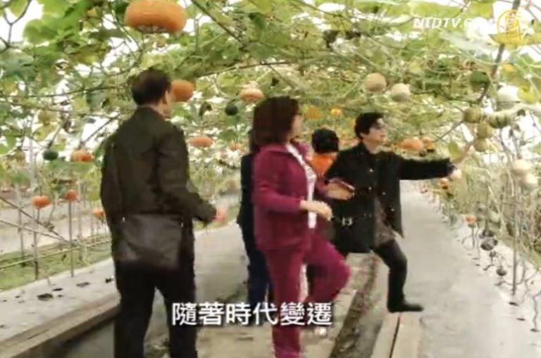 打造農業旅遊 綠色軟實力的新宜蘭