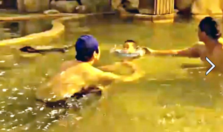 知本泡湯現稀客  果子狸噗通跳