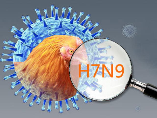港大：H7N9確診恐達550例 3倍於公布病例