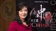“自由中国”在日本众议院引关注