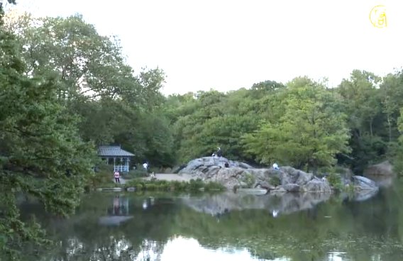 紐約中央公園翻船事故 幸無人受傷