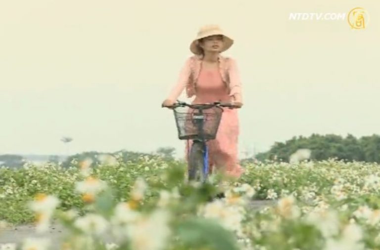 宜蘭友善小農 打造自然新生活價值