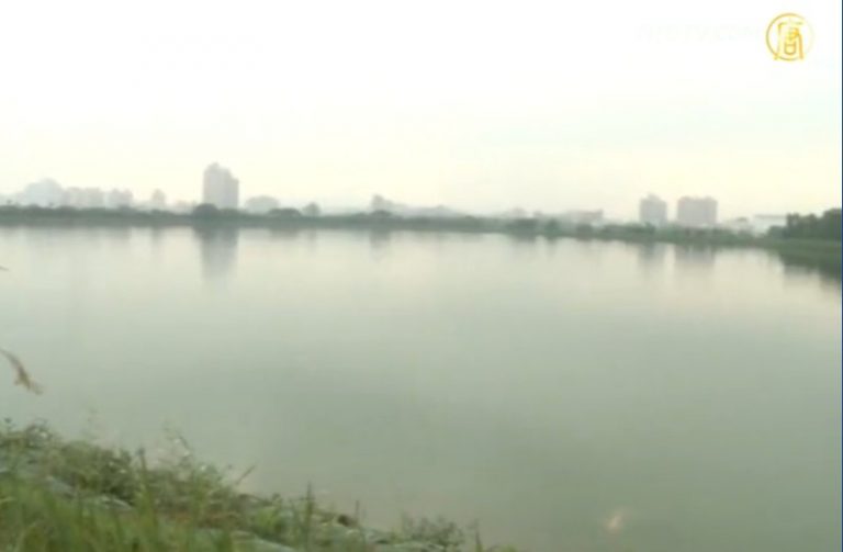 桃園推動埤塘再生 復育台灣原生魚