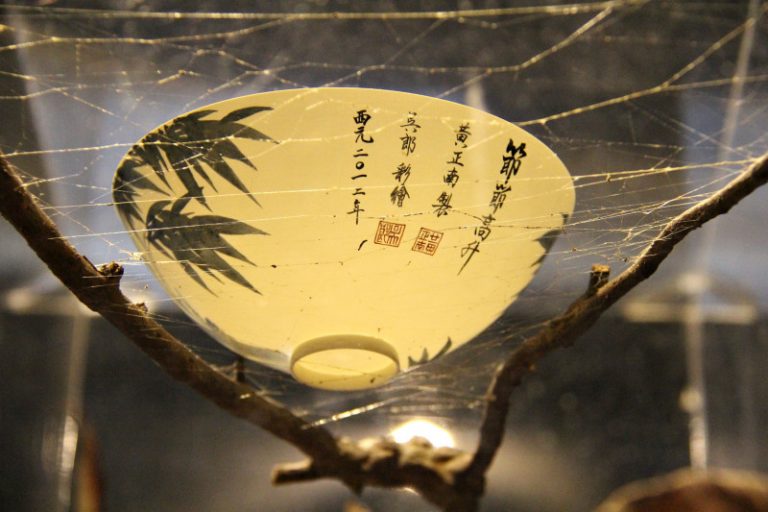 北科大陶瓷琉璃展  薄胎碗吸睛