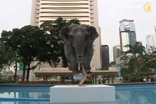 《摩西五書》大象雕塑在香港首展