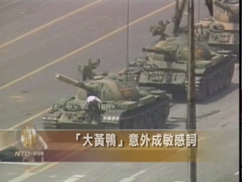 「大黃鴨」意外成敏感詞