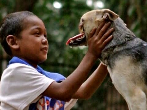 忠犬捨身護主毀容 治療成功回故鄉